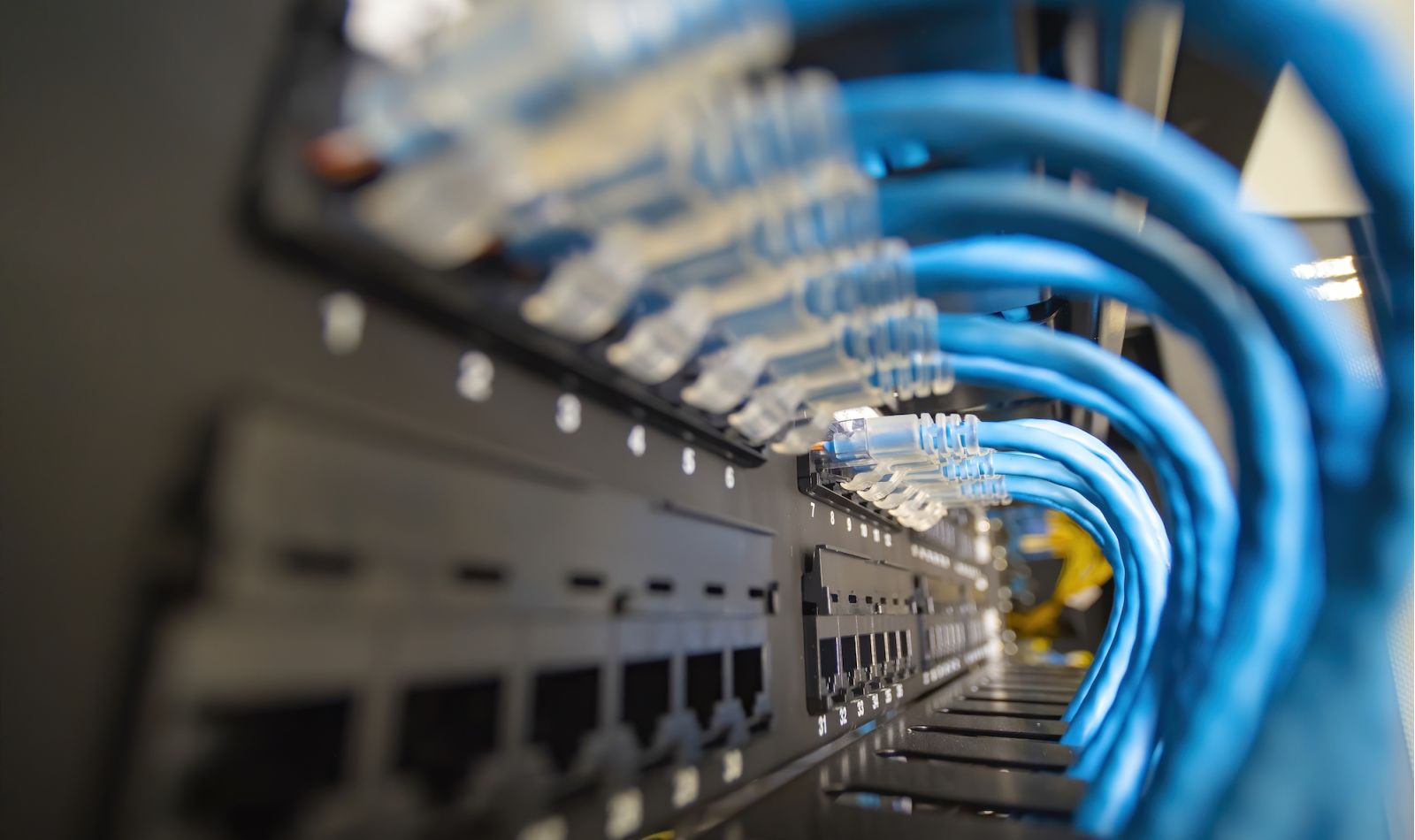Blue network cable system in network rack
